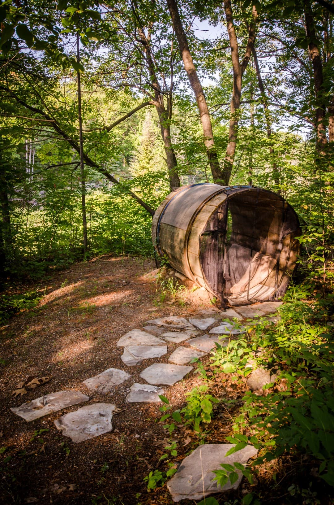 Quiet reading nook in the forest